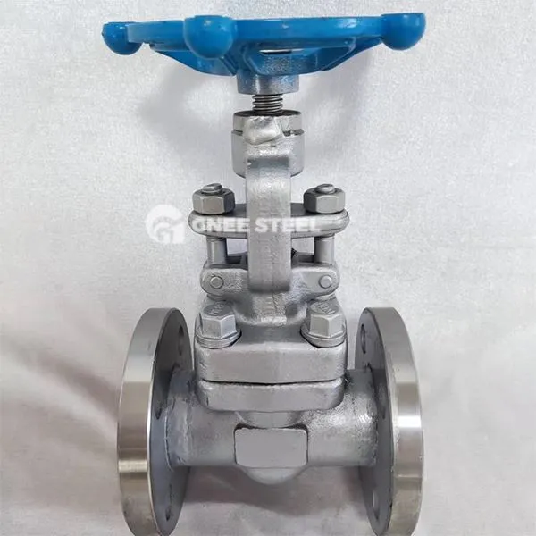 Valvole API 602 Globe