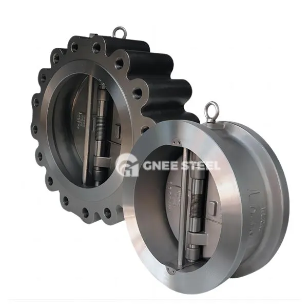 Valvola di ritegno a doppio disco