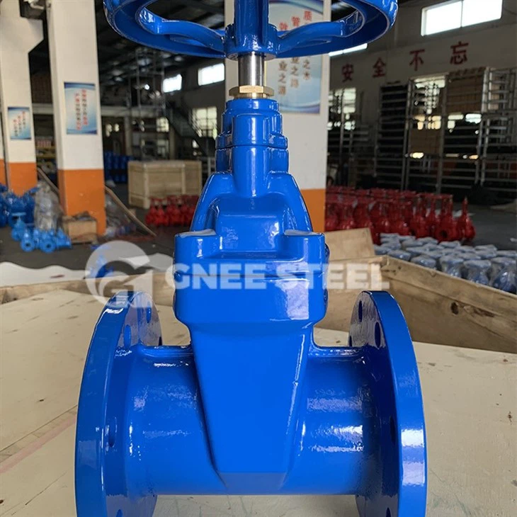 Ductile Iron Gate Valve