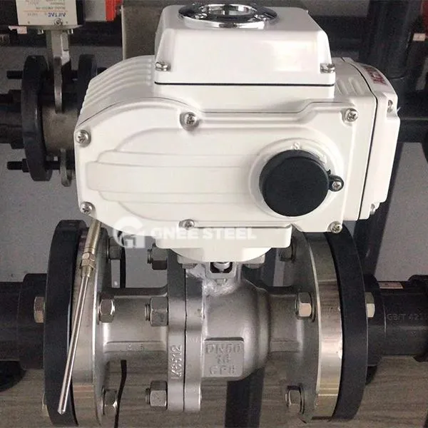 Valvola di ritegno elettrico