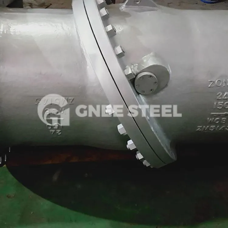 Valvole di ritegno a disco basculante flangiate