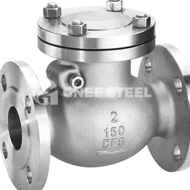 Valvola di ritegno a battente ad alta pressione