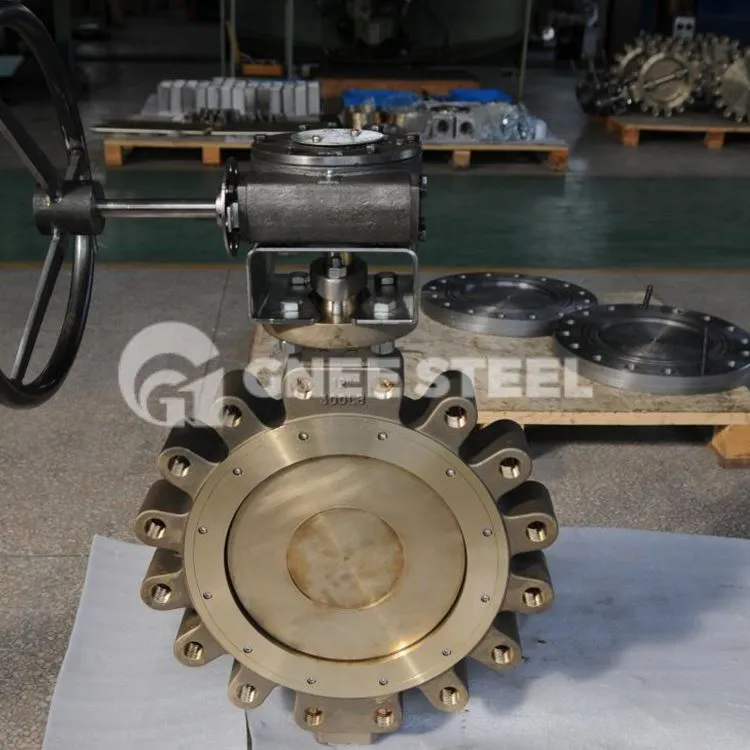 Valvola di ritegno a lug