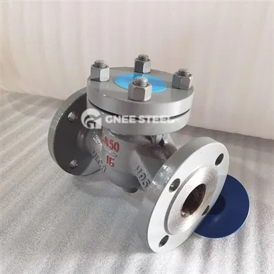 Valvola di ritegno di sollevamento orizzontale