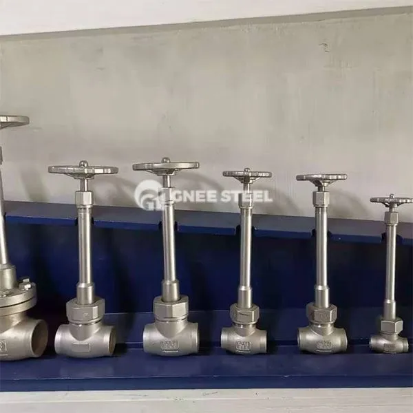 Valvole a globo criogeniche in acciaio inossidabile