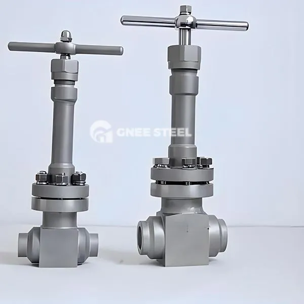 Valvola globale a temperatura ultra-bassa